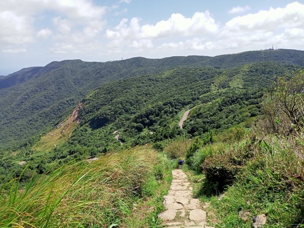 擎天崗→石梯嶺→頂山→風櫃口→天溪園→聖人橋【臺北大縱走第三段】【陽明山東西大縱走活動】1853438