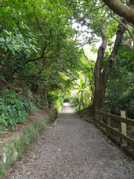 2018.12.17 天母-水管古道490931