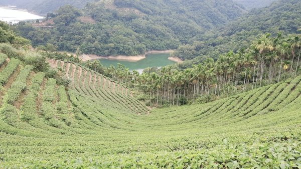 石碇鱷魚島-千島湖之旅715724