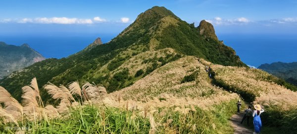 #半屏山 #芒花 11/262946025