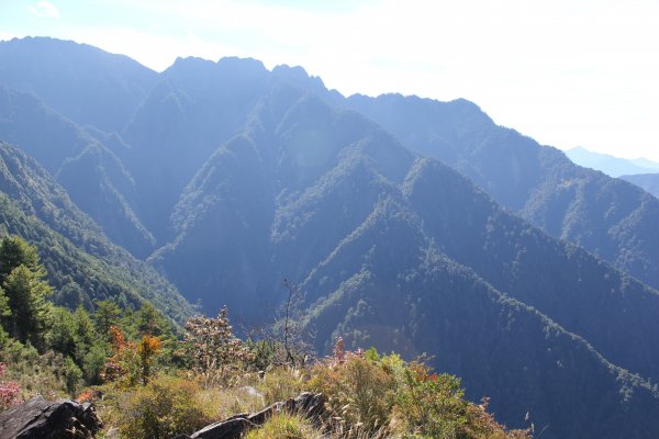 登峰造極--2018玉山主峰532683