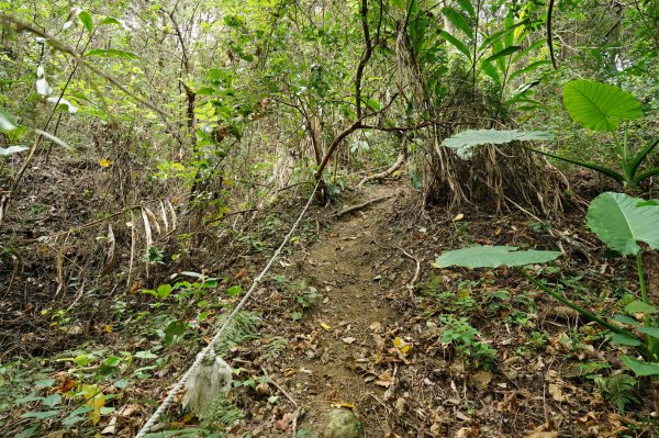 臺中 潭子 林牛山、聚興山、大胡山2474479