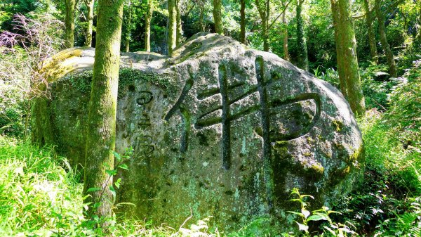 陽明山16草原之西線8草原2904052
