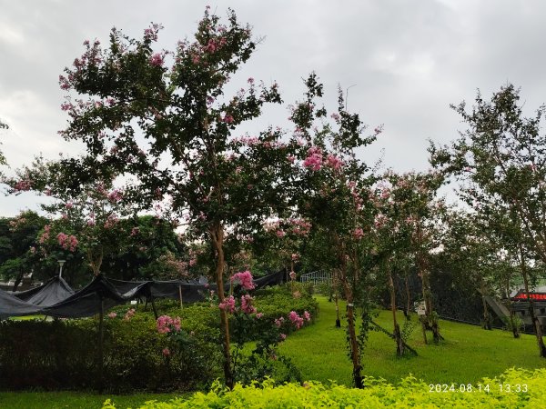 大安森林公園、瑞陽公園、大港墘公園、宏匯瑞光廣場【走路趣尋寶】【臺北健走趣】2574714