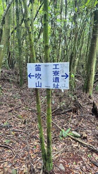 橫沙笛O繞2824595