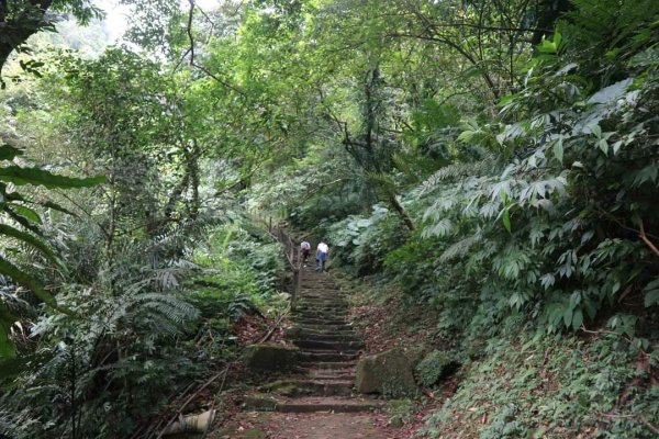 〔新店〕銀河洞越嶺步道 待老坑山 貓空  樟湖步道，繞8字路線2316862