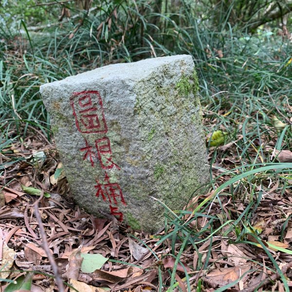 20250621屏東巴士墨山-草埔後山2821408