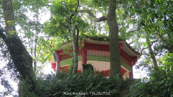 《苗栗》古道柳杉｜雲洞宮鳴鳳古道南長城步道登三湖山202505022777124