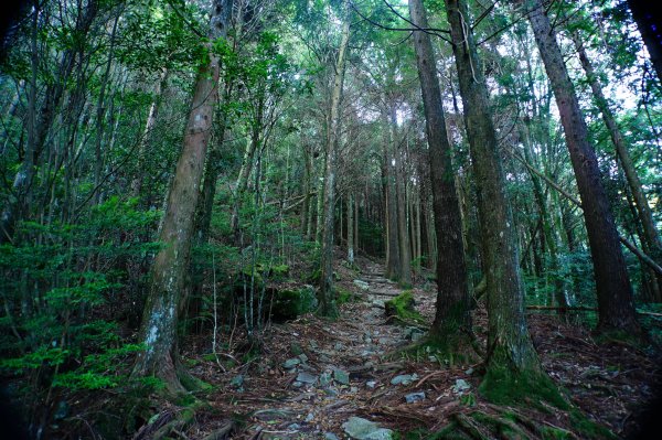 苗栗 泰安 榛山3078982