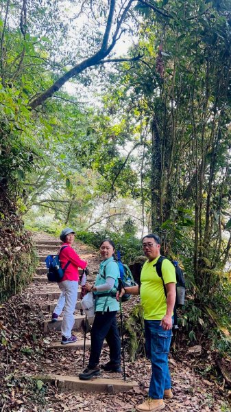 🌈3/21（六）頂湖上大凍山下奮起湖老街✨FB：熊熊趴爬走🌈3020191