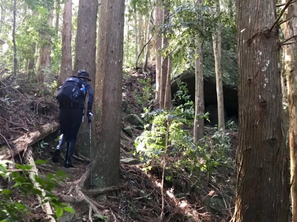 上山下谷哈堪尼山環走台車道628851