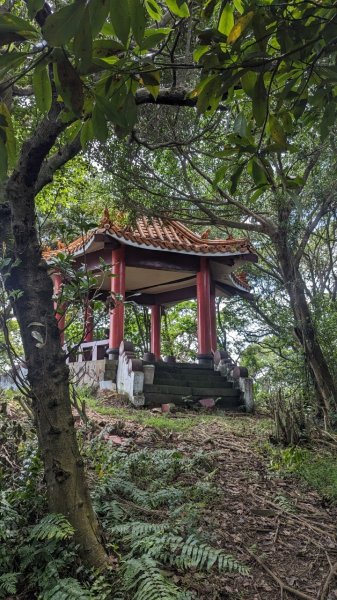 113.06.08阿四坑山-龜公山-牛灶坑山-彰埔坑山2530082