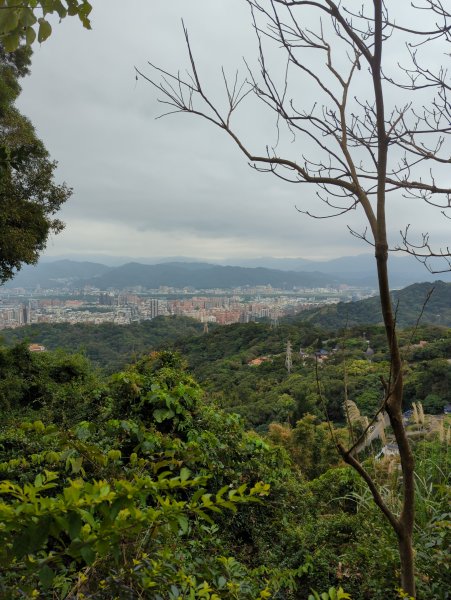 2022.03.05－大棟山縱走1636841