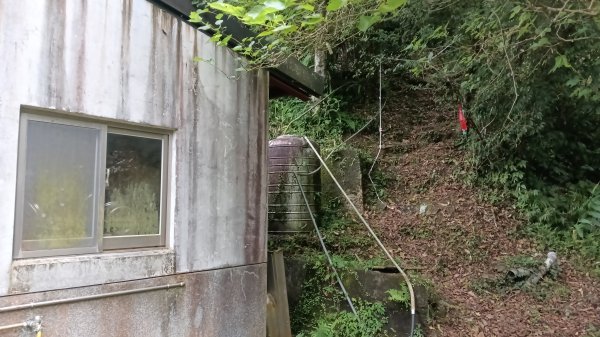 雙溪區烏山越嶺古道西段3073316