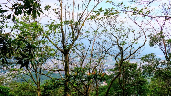 你若來汐止2961417