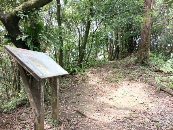 汐止區磐石嶺福興宮+581峰+雙十塔+耳空龜山+四分尾山+大尖山2805723