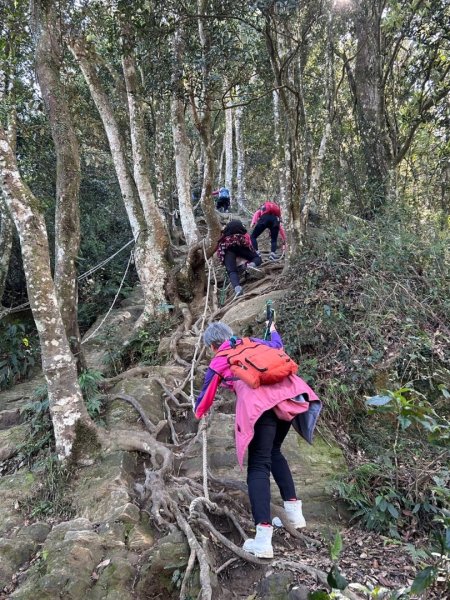 1140319仙山-仙山南峰2738450