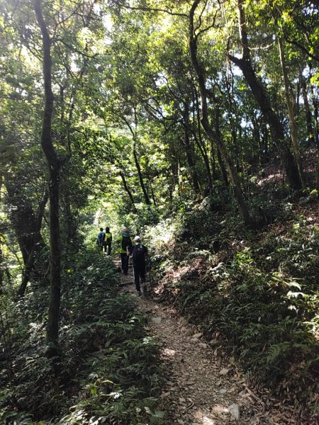 北大武山之檜谷🌲🌲森林漫遊😍😍1779539