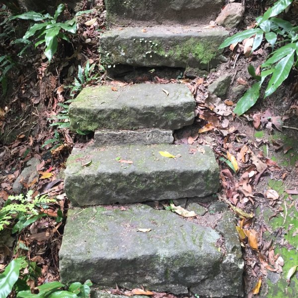臺北大縱走第四段946884