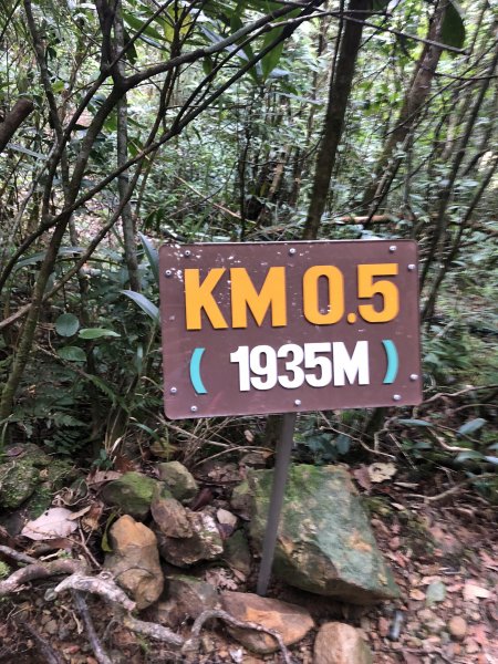 馬來西亞 沙巴神山631947
