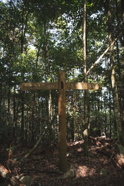 八仙山-夏日避暑好所在631685