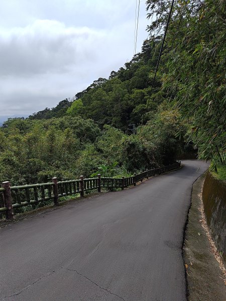 20260321大棟山系-百年大榕樹段3019054