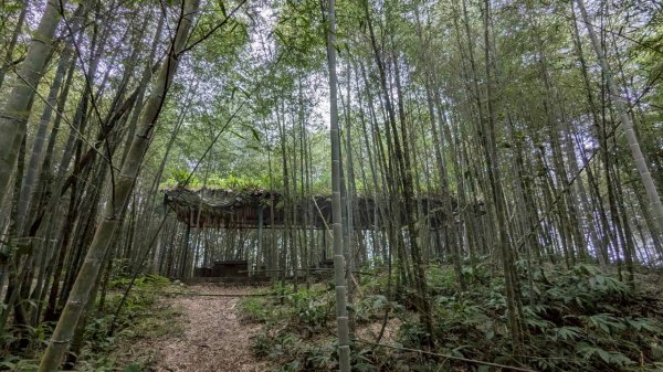 集集大山步道2886285