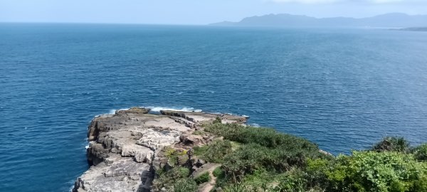 貢寮區龍洞灣岬+金沙灣野百合花3049164