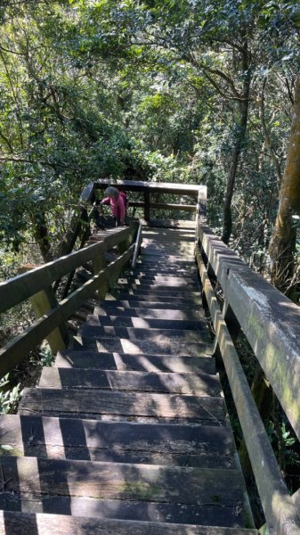 十份棟古道出雲端2688961