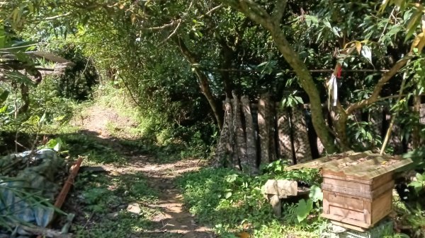 雙溪區灣潭南勢坑古道大河戀3084782