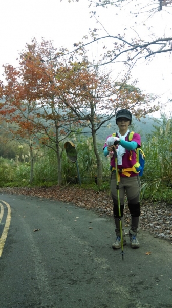 20151226泰安鄉熊佧山27735