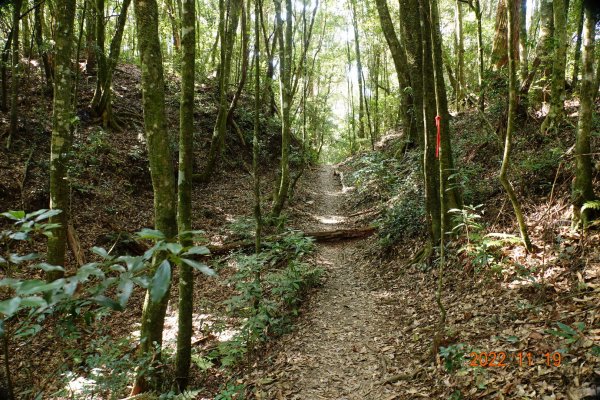 南投 信義 西巒大山1922275