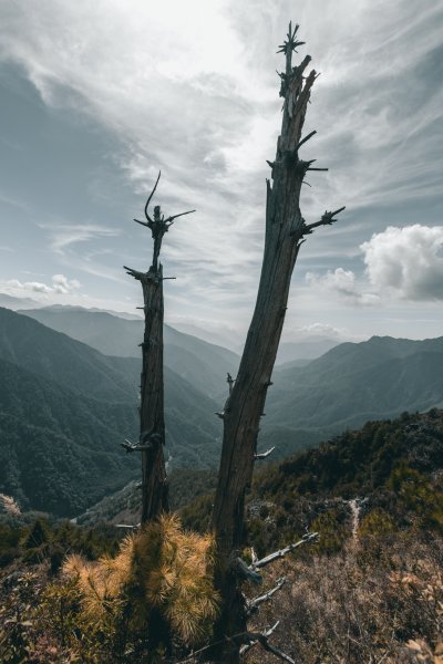 |百岳|玉山前峰1267047