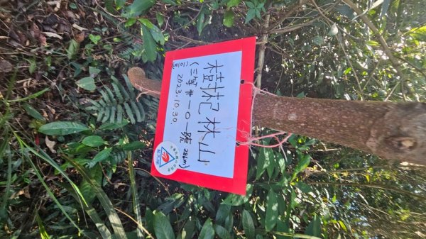 竹東三山O2375998