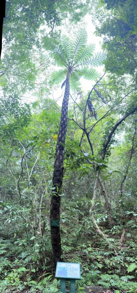 遠離塵囂的世外桃源南仁山生態保護區1905741