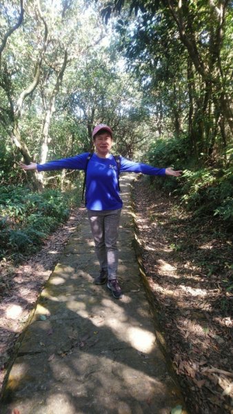 【臺北親山拓印趣】林蔭青蔥的大崙頭尾山738373