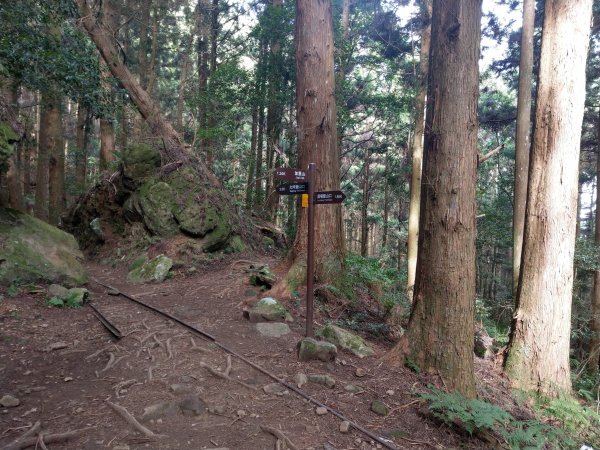 台版富士山「加里山」(小百岳#34) 2020/12/191424801