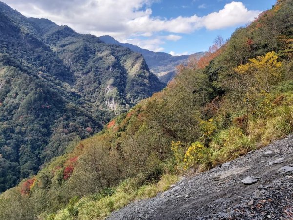 中級山-司馬庫斯2888976