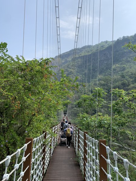 20260411嘉義達娜伊谷-約富霓山3040853