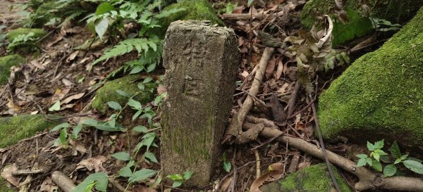 2025/07/19-大艽芎古道上溪洲山O型2841559