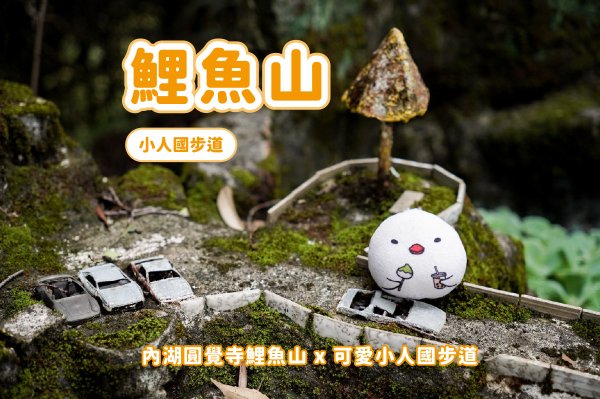 內湖鯉魚山小人國步道封面