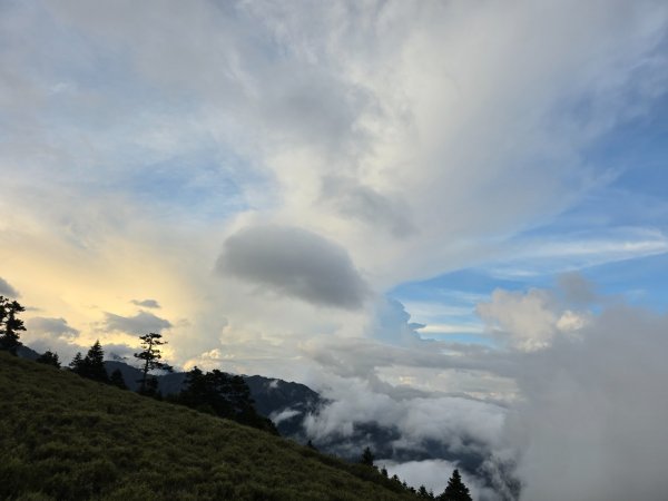 志佳陽大山（回程走高繞環山獵人登山步道）2542208