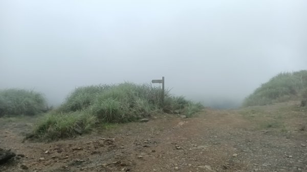 瑞芳區金瓜石地質公園-大粗坑古道(大粗坑山+小金瓜露頭)-樹梅坪-百二崁古道-金瓜石地質公園步道O型3055290