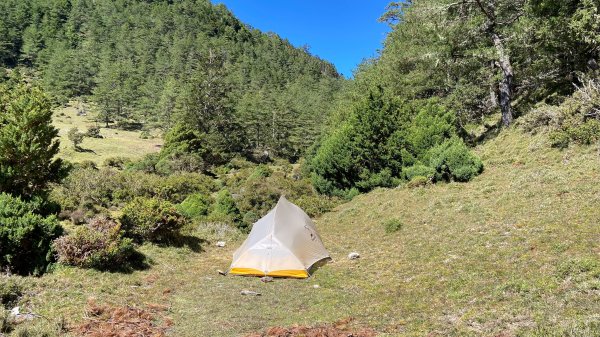 南三段-------丹大無雙豔陽天2916520