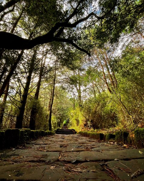 二延坪_鹿林山2865331