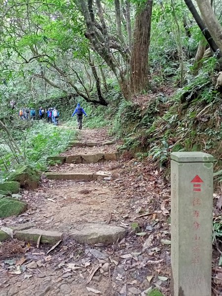 【基隆-臺灣百大必訪步道】暖東峽谷→荖寮坑→暖東舊道→五分山步道→新平溪煤礦博物園區→十分遊客中心1542769