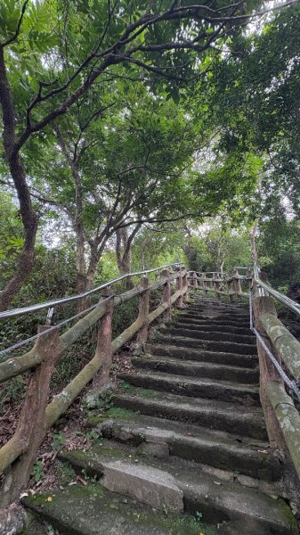 941（旗尾山2905659