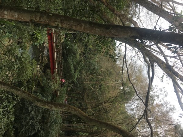 四十二份湧泉2723166