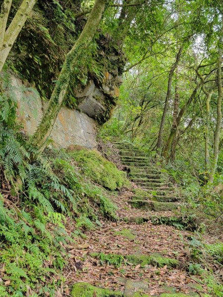 金露天宮-金露山-七星山南峰-恐龍接吻石-小油坑-202403102600440