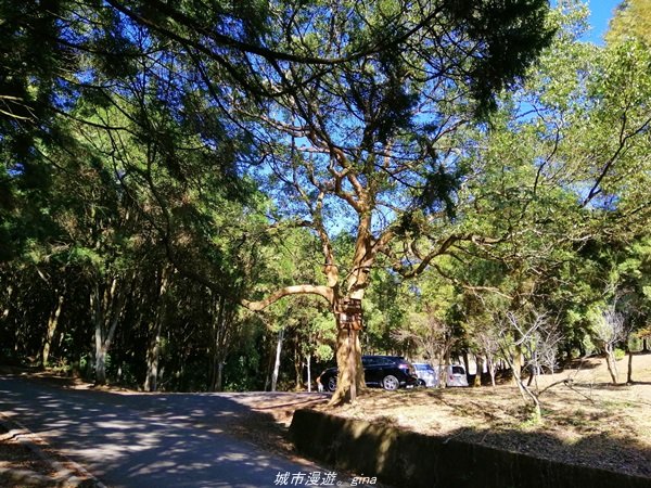 南投~飽覽層疊山巒賞心悅目~金龍山步道1242591